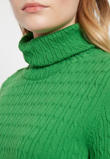 Turtleneck Sweater Biane 